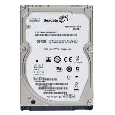 HDD Seagate 250GB For PC