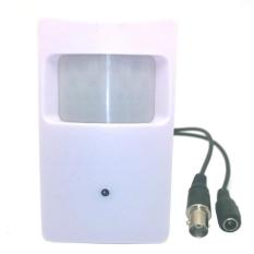 Home Surveillance Terselubung 700TVL Chip Gerak CCD Sensor PIR CCTV Kamera-Intl