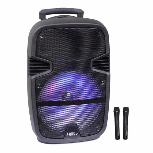 speaker portable 12 inch