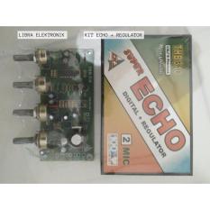 Kit Echo Digital Plus Regulator 2 Mic CKJ