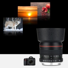 Lightdow 85mm F/1.8 Medium Telephoto Portrait Prime Lens for Nikon D4S, DF, D4, D3X, D810, D800, D750, D610, D600, D300S, D7200, D7100, D7000, D5500, D5300, D5200, D5100, D3300, D3200 D3100 D50 D80 - intl