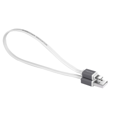 NILLKIN 30 Cm 5 V 2.1A Mini USB Tanggal Quick Charge Kabel untuk Apple IOS9for IPhone 5 S/SE /6 S/6 Plus/IPad/IPOD (Warna: Putih)-Intl