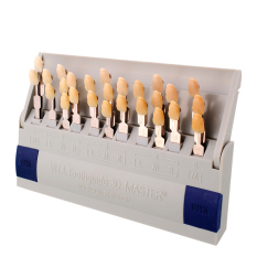 OEM VITA Toothguide 3D 29 Warna