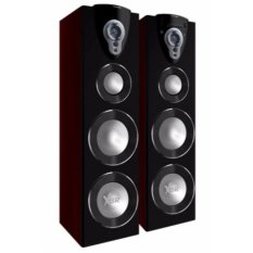 POLYTRON PAS 38 Speaker Aktif