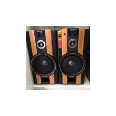 POLYTRON PAS 62 ACTIVE SPEAKER
