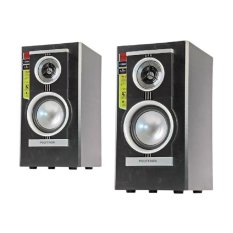 POLYTRON PAS21 Speaker Active