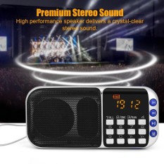 Portable FM Radio HiFi Stereo Speaker Music Player Support Micro SD TF Card USB Disk AUX (Blue) - intl