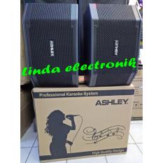Professional System Speaker Aktif Karaoke Ashley K 2310 (10 Inch)