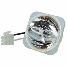 Proyektor Bulb 5J. J0A05.001 untuk BenQ MP515 MP525 dengan Perumahan-Intl