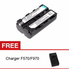Rajawali Third Party Battery for Sony F550/F570 + Free Charger (LED Powerpack)