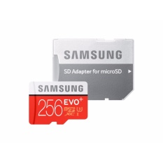 Samsung MicroSD 256GB Evo Plus With Adapter