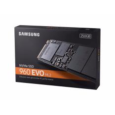 Samsung SSD 960 EVO M.2 250GB (MZ-V6E250BW)