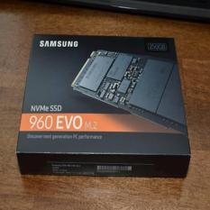 Samsung SSD 960EVO M.2 250GB - NVM SSD M.2 For Pcie Gen 3.0 - 3 Tahun