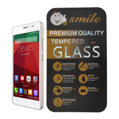 Smile Tempered Glass Infinix Hot Note X551