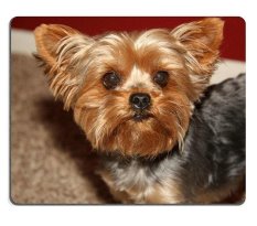 Dijual Oleh Elong Station Mouse Pad Gaming Mouse Pad Karet Alam mouse Mat Dylan S Th Ulang Tahun November Set Bahan Karet Alam M0A10190-Intl