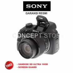 SONY CYBER SHOT DSC-H300 . H 300
