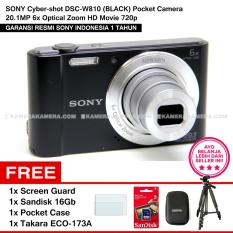 Sony Cyber-Shot Dsc-W810 (Black) Pocket Camera 20.1Mp 6X Optical Zoom Hd Movie 720P + Screen Guard + Sandisk 16Gb + Pocket Case + Takara ECO-173A