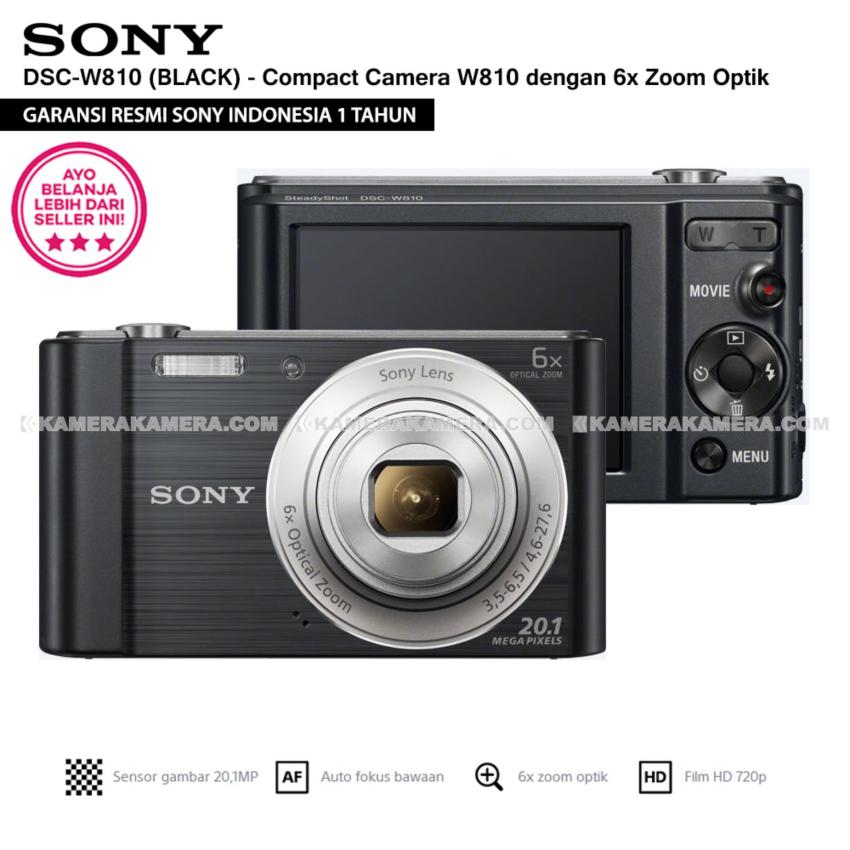 Sony DSC-W810 Digital Camera - 20.1MP 6x Optical Zoom Point And Shoot
