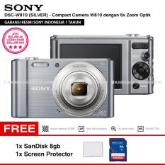 SONY Cyber-shot DSC-W810 Compact Camera W810 (SILVER) 20.1 MP 6x Optical Zoom HD Movie 720p - Resmi Sony + SanDisk 8gb + Screen Protector