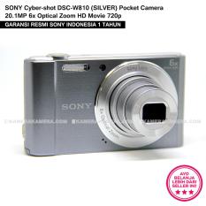 SONY Cyber-shot DSC-W810 (SILVER) Pocket Camera 20.1MP 6x Optical Zoom HD Movie 720p