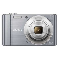 Sony DSC-W810 - 20.1 MP - 6x Optical Zoom - Silver