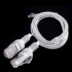 SP Kabel Jaringan RJ45 Lan kabel Ethernet 5 M