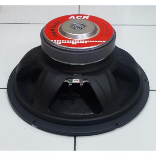 speaker classic 12 inch