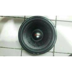 speaker 12