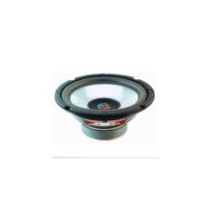 Speaker ACR 6