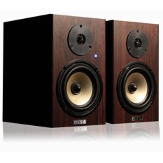 Speaker ISK DS5A Flat Monitor Speaker DS Coustic DS5A