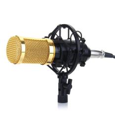 Taffware BM 800 Microphone Condensor + Shock Mount