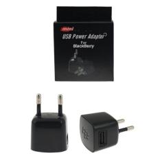VINERGY Adaptor Blackberry Mini