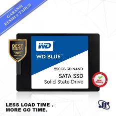 Western Digital WD Blue 3D Nand SSD 250GB 2.5