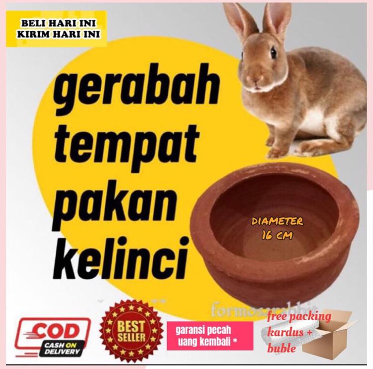 Tips Menghemat Biaya Pakan Kelinci