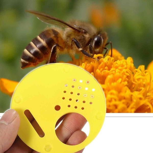 Tool for 12x Plastic Beekeepers Bee Hive Nuc Box Entrance Gate Beekeeping Yellow