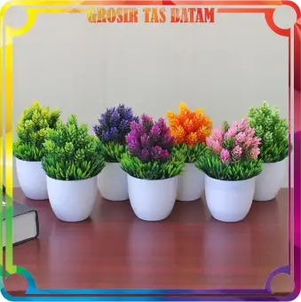 78+ Gambar Bunga Bonsai Paling Bagus 78+ Gambar Bunga Bonsai Paling Bagus
