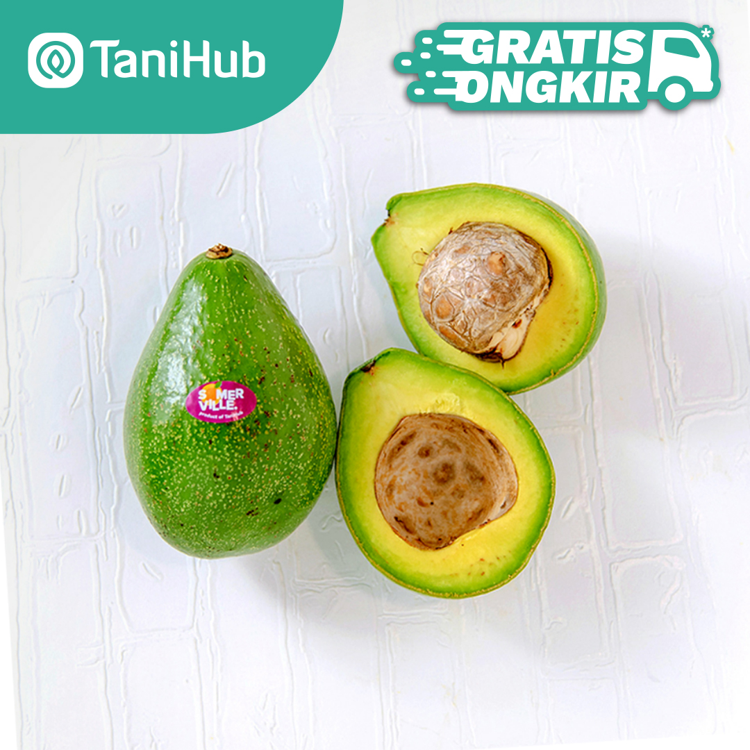 Jual Buah Alpukat Mentega 1kg Terbaru Lazada.co.id