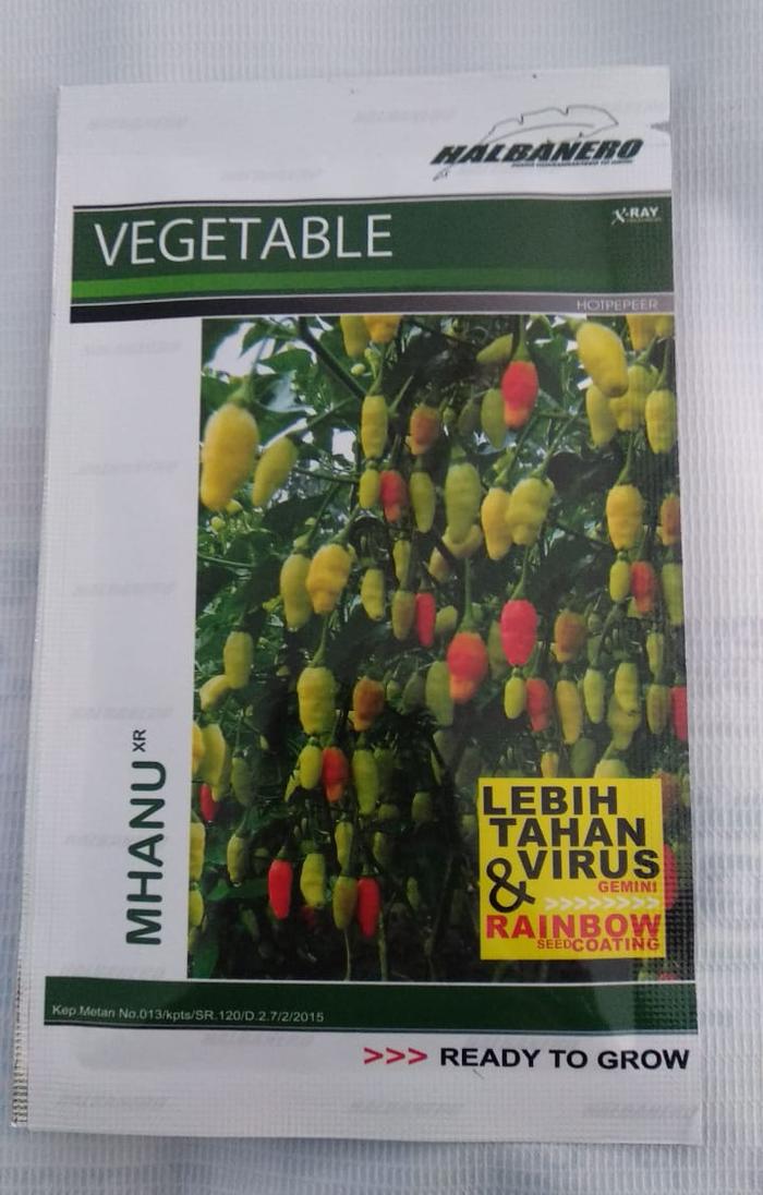 Benih Biji Cabe Mahnu XR Tahan Virus Bibit Termurah