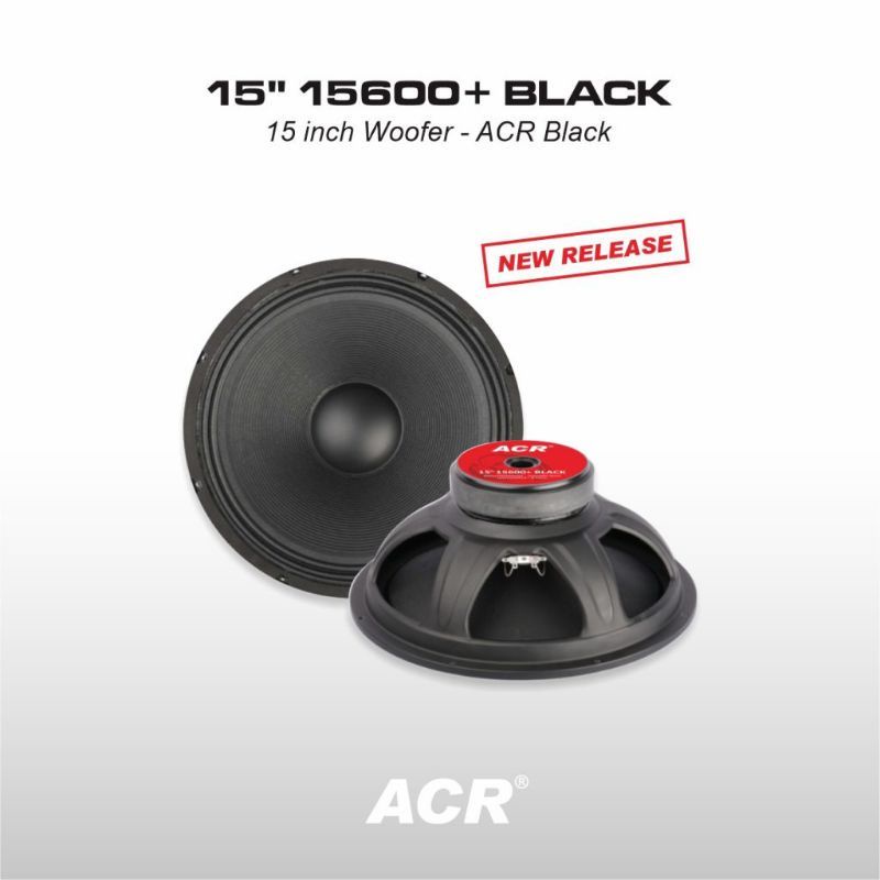 Speaker 15