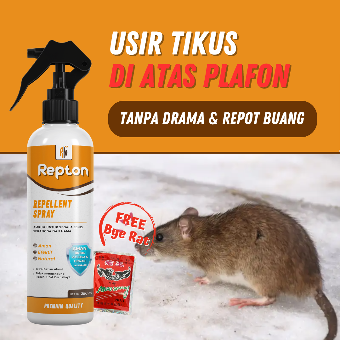 Apakah Plafon Pvc Anti Tikus