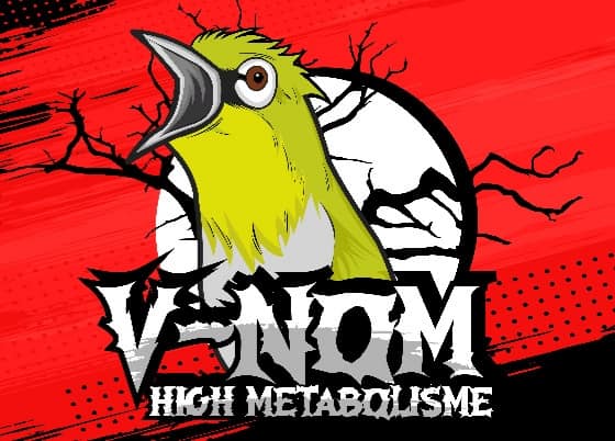 8600 Koleksi Gambar Burung Pleci Kartun Terbaru