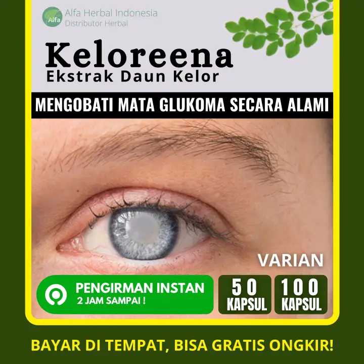 Keloreena Ekstrak Daun Kelor Obat Mata Glukoma Berbayang Berkabut Memerah Merah Mual Dan Muntah Glua Glaukoma Glaua Nyeri Mata Sakit Kepala Herbal Alami Lazada Indonesia