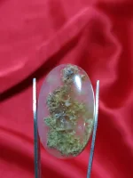 Jual Batara Karang Asli Terbaru Lazada Co Id