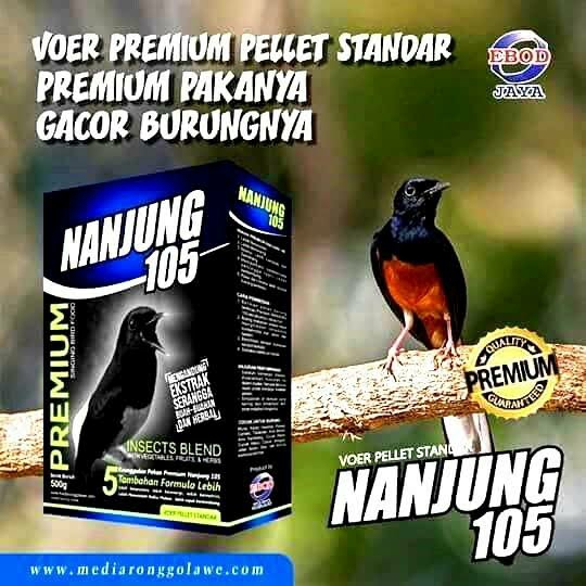 Voer Nanjung 105 Membeli Jualan Online Makanan Burung Dengan