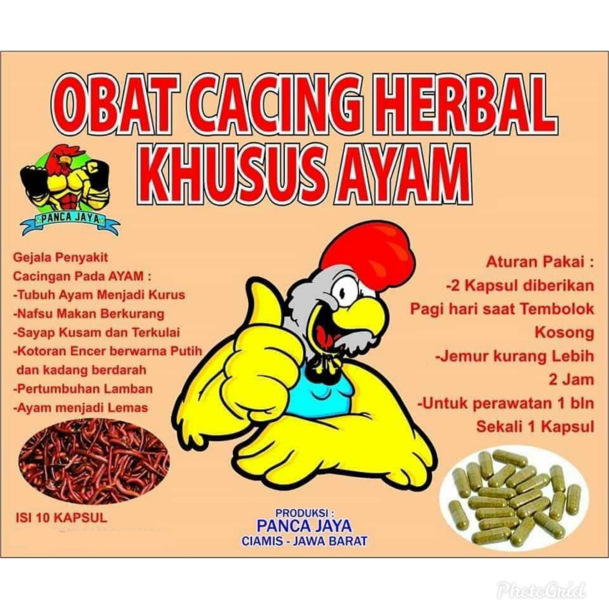 1 Sachet Obat Cacing Herbal Ayam Panca Jaya 10 Kapsul Dijamin Ampuh Dan Cacing Ambrol Lazada Indonesia