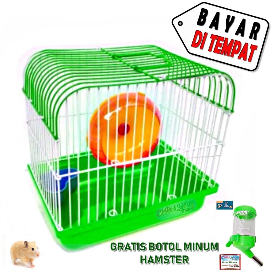Комбо 20.08 hamster