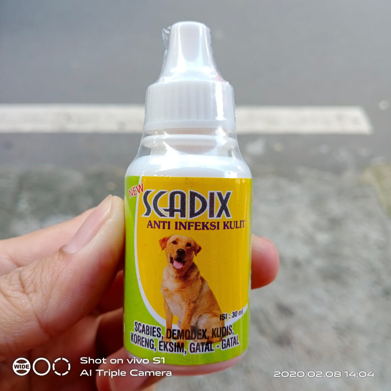 Obat Gatal Untuk Anjing Peliharaan