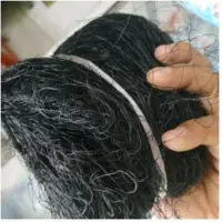 Jual Doq Anak Burung Puyuh Terbaru Lazada Co Id