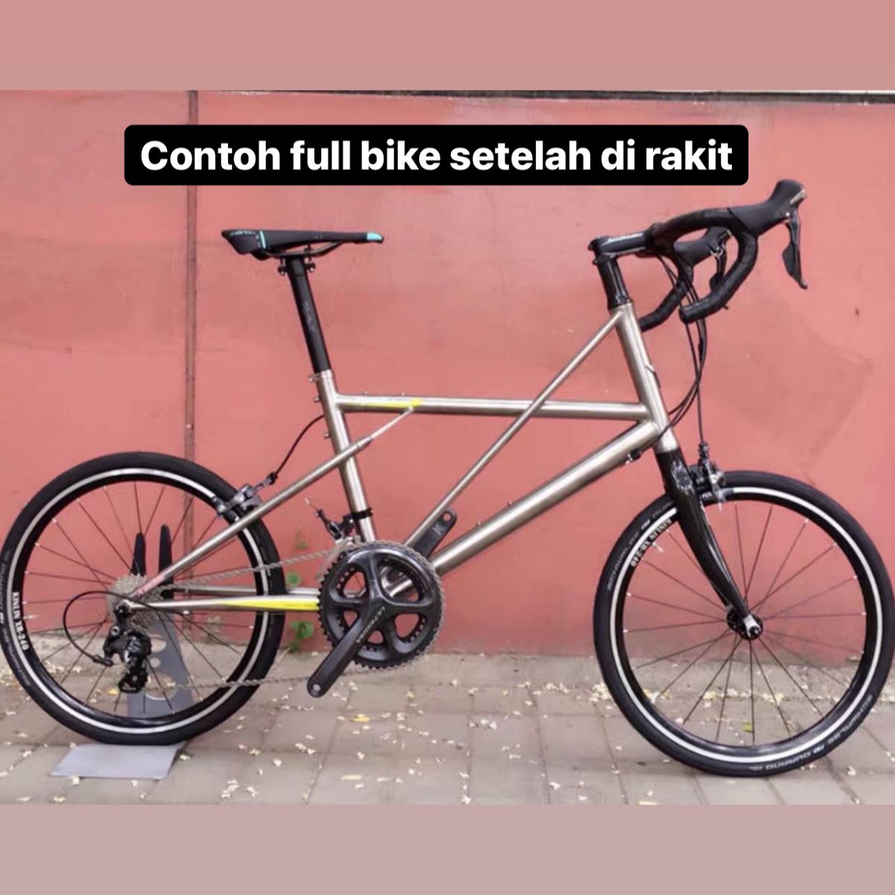 Frame Minivelo Titanium Handmade Rangka Sepeda Bukan Tyrell PKZ Lazada Indonesia