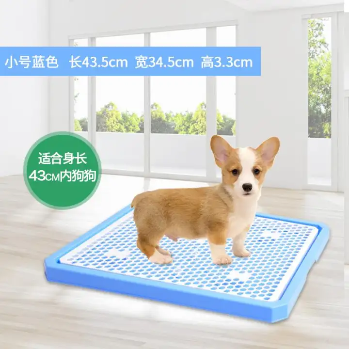 Anjing Toilet Ukuran Besar L Anjing Tipe Tubuh Tengah Mangkuk